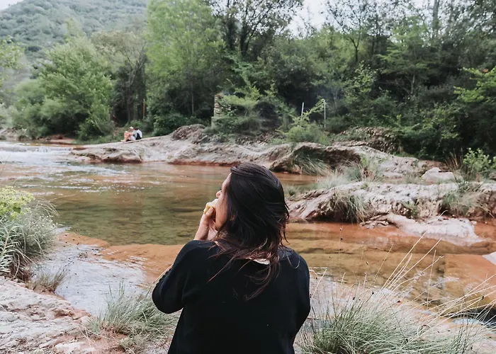 Mas Nou Albanya